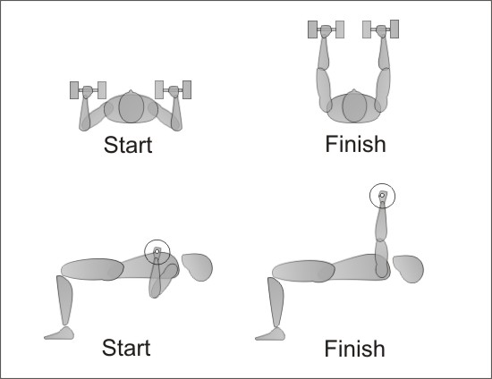 Dumbell Press